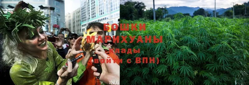 Бошки марихуана LSD WEED  Касли 